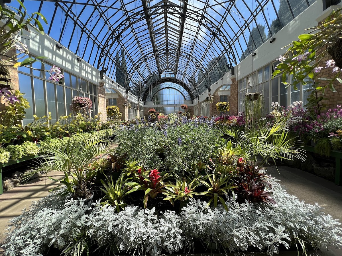 Auckland Domain & Wintergardens