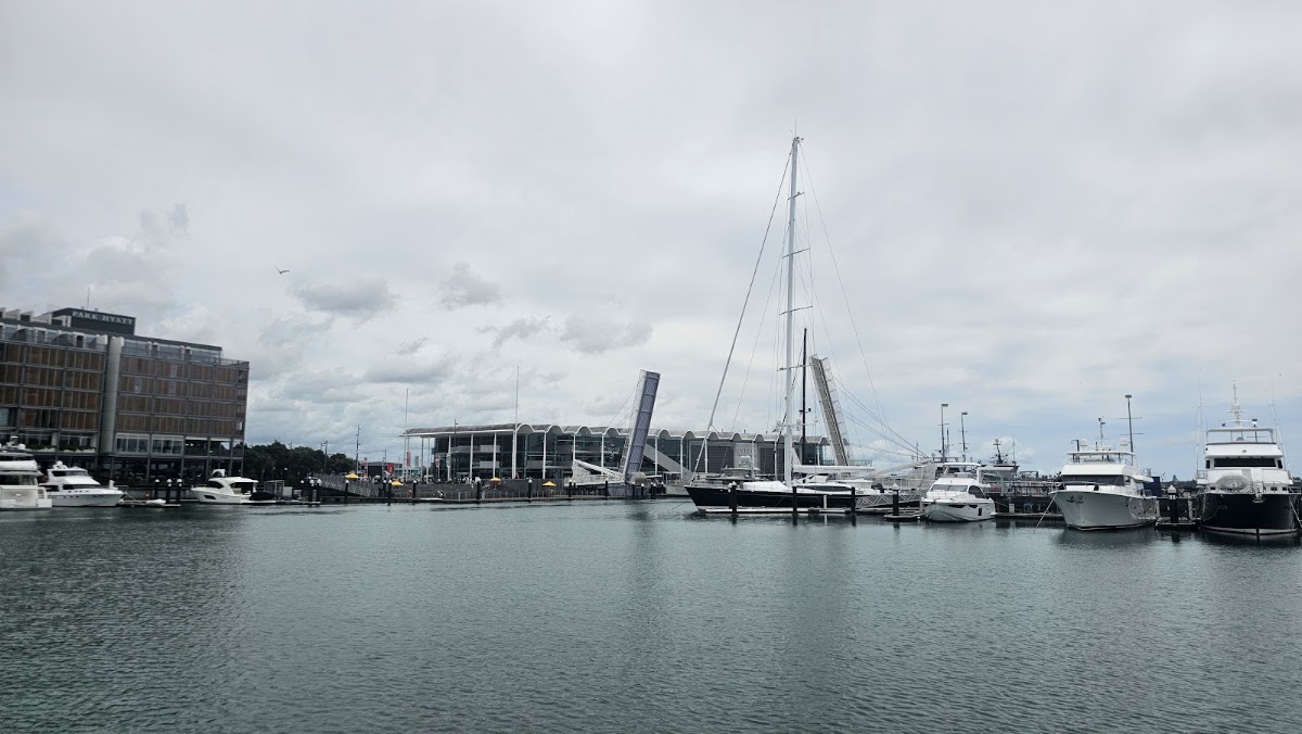 Viaduct Harbour