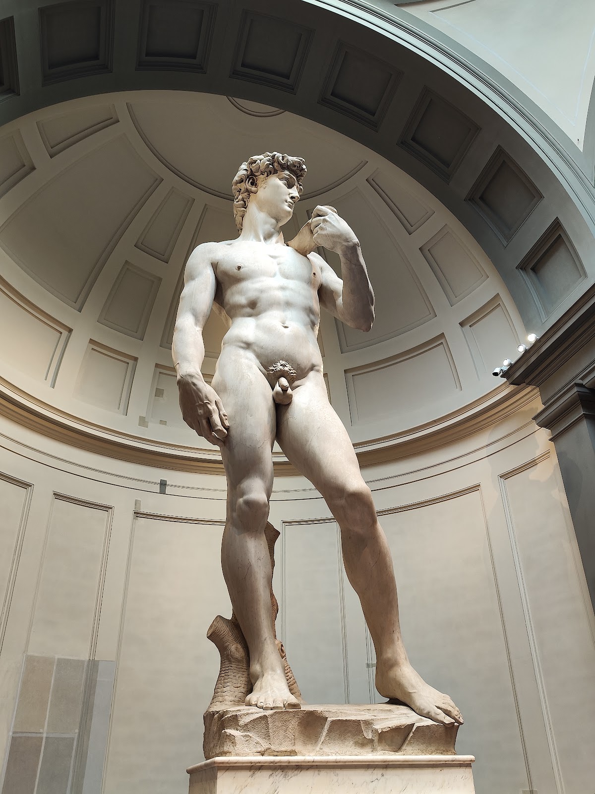 Galleria dell'Accademia