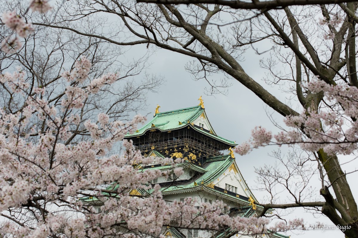 Osaka Castle