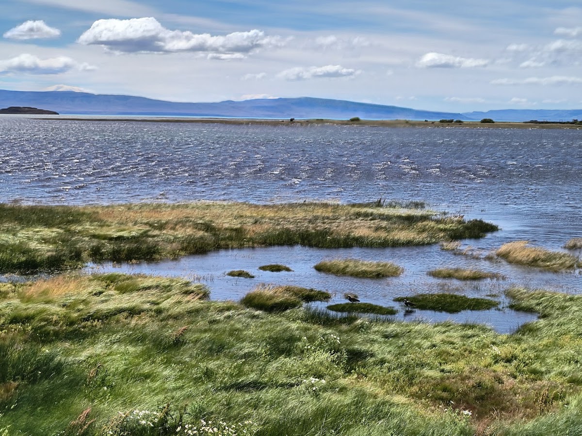 Costanera de El Calafate