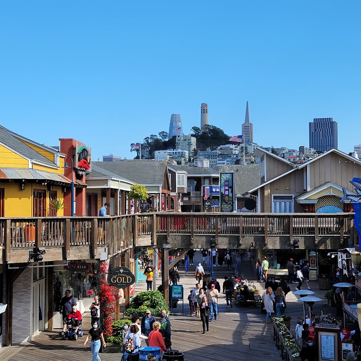 Pier 39 Sea Lions