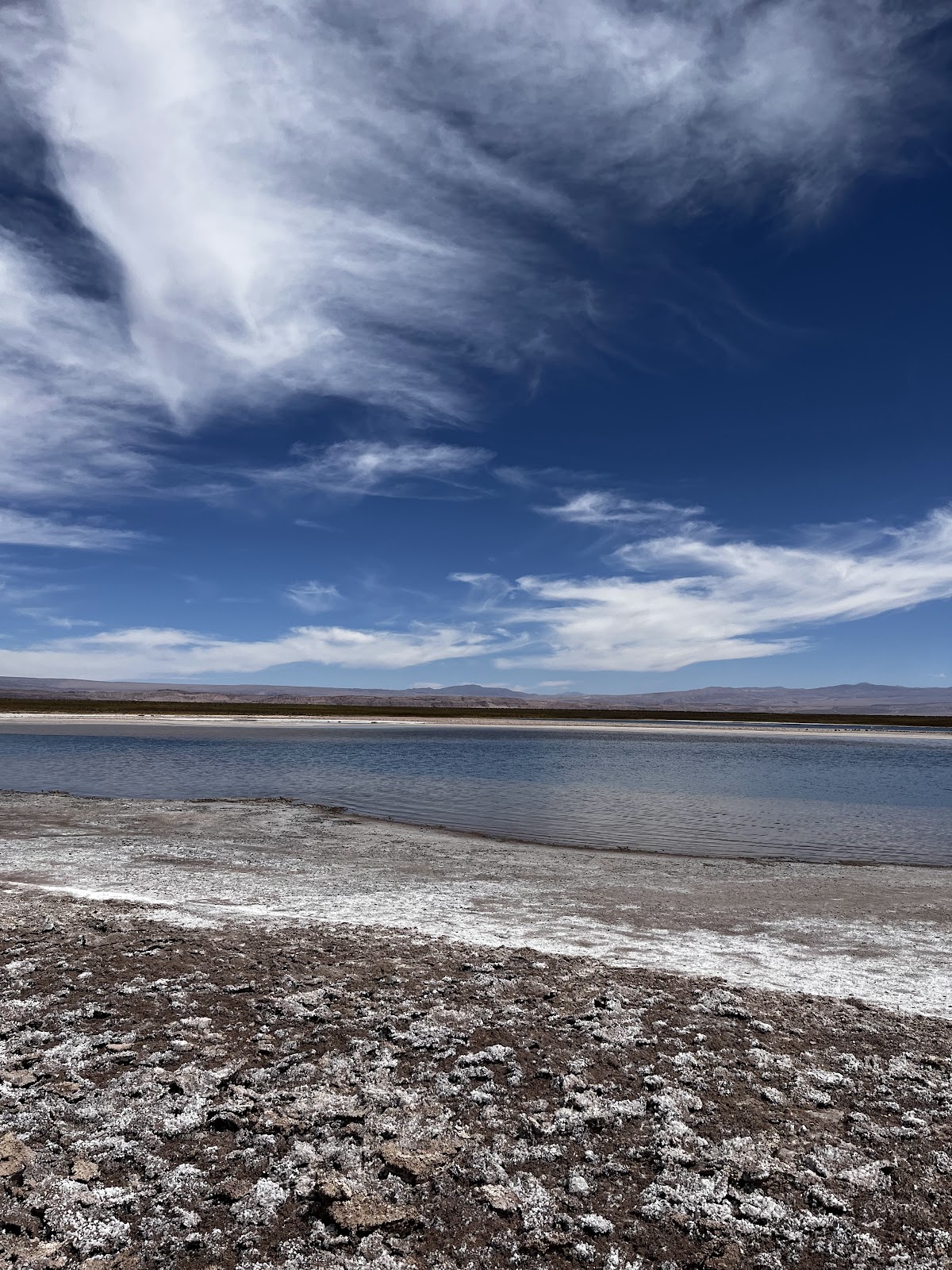 Laguna Cejar