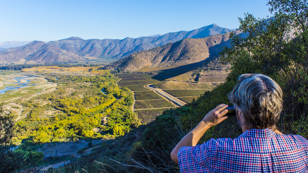 Maipo Valley vineyards