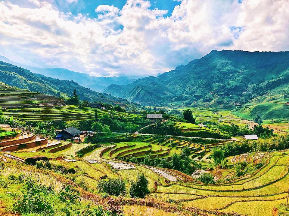 Muong Hoa Valley rice terraces