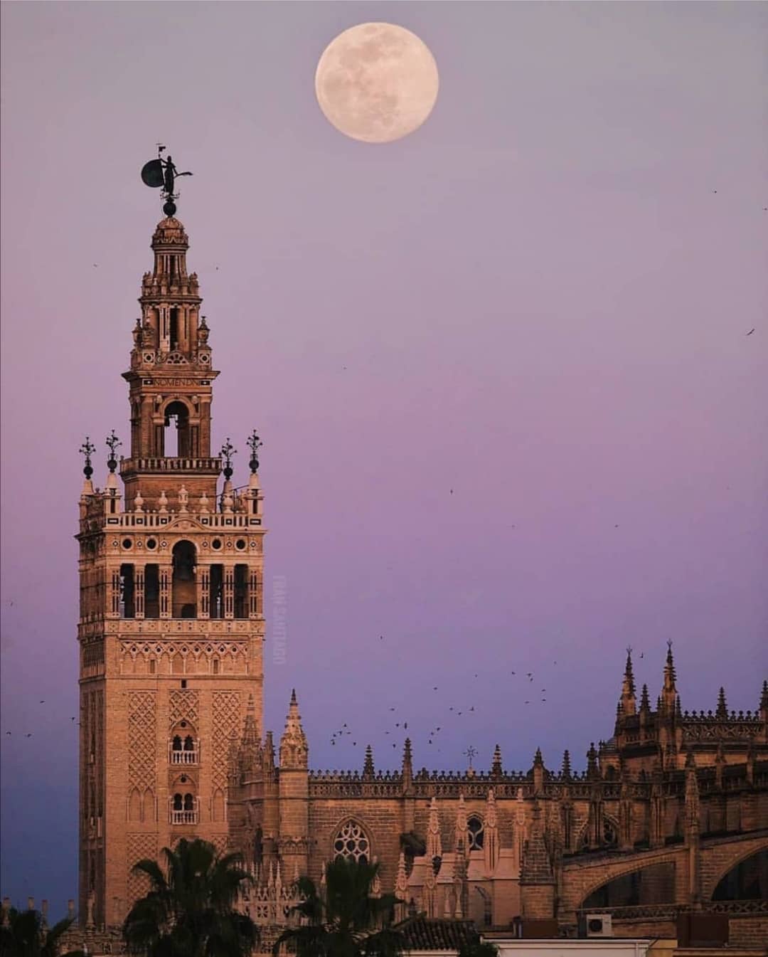 Seville Cathedral and Giralda