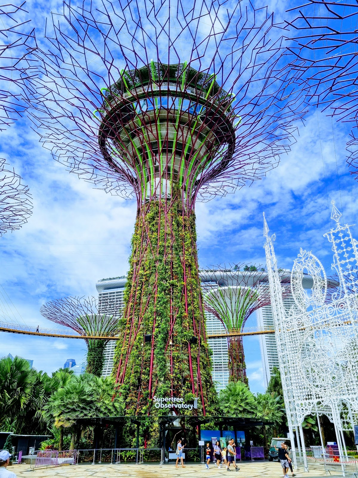Gardens by the Bay Supertree Grove
