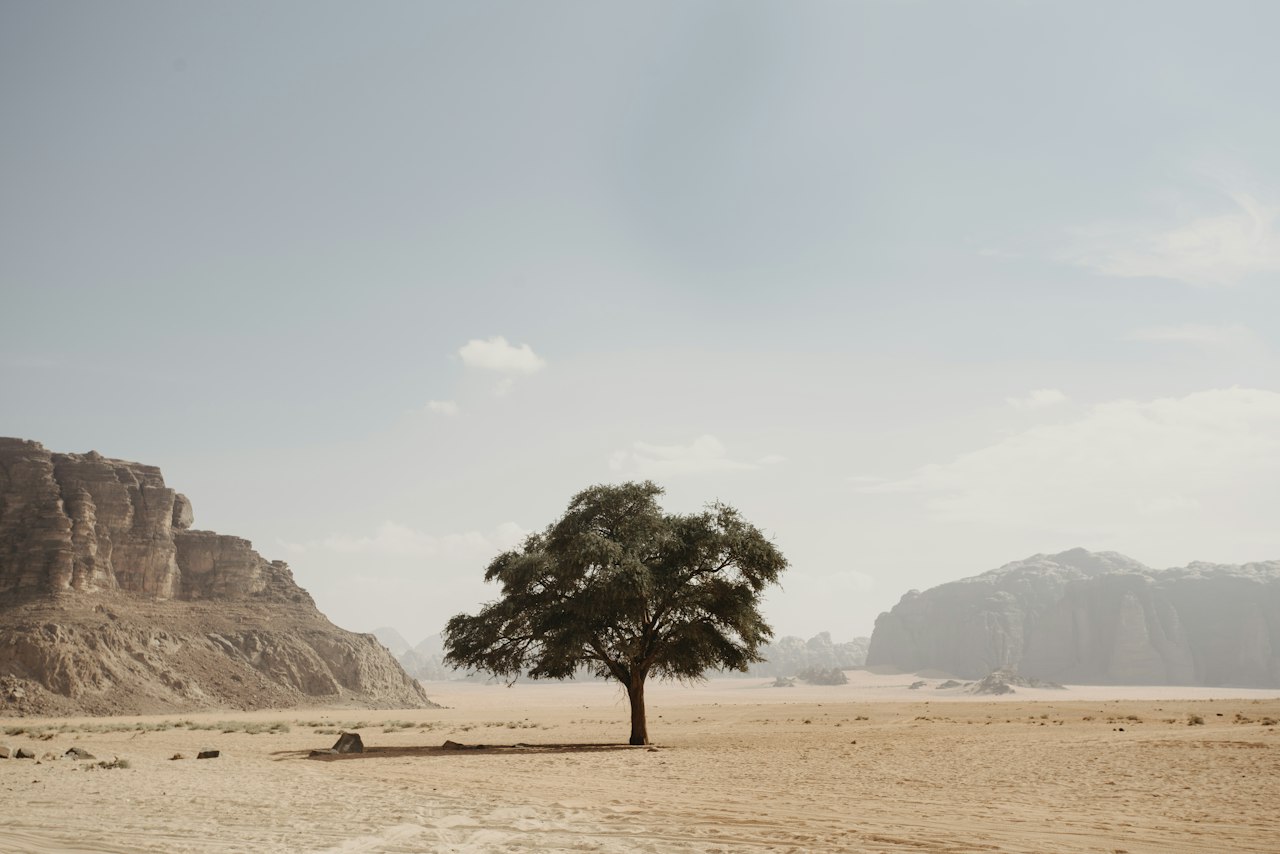 Wadi Rum desert landscape