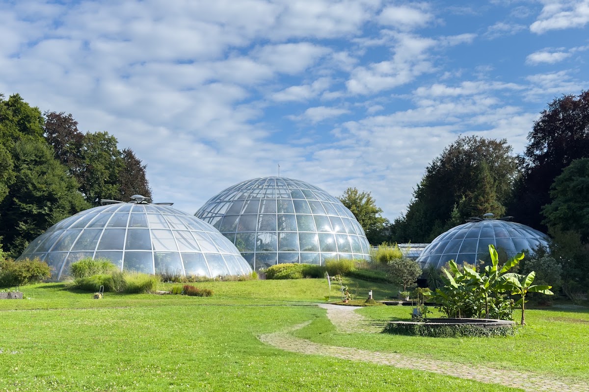 Zurich Botanical Garden